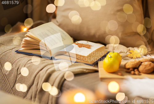 Image of book with autumn leaf and blanket on sofa