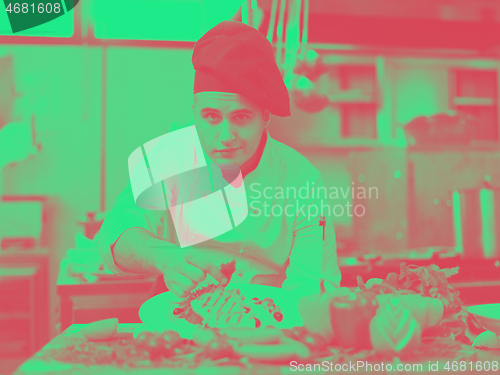 Image of cook chef decorating garnishing prepared meal