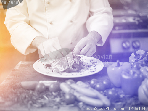 Image of cook chef decorating garnishing prepared meal