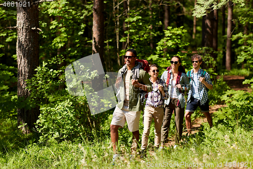 Image of group of friends with backpacks hiking in forest