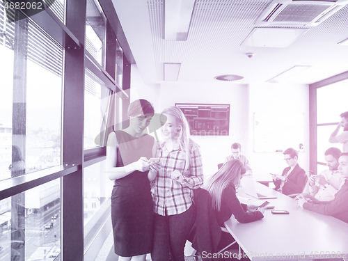 Image of Two Elegant Women Using Mobile Phone by window in office buildin