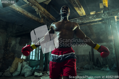 Image of Hand of boxer over black background. Strength, attack and motion concept