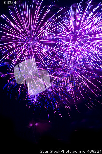 Image of Purple fireworks