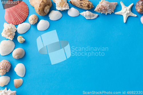 Image of frame of different sea shells on blue background