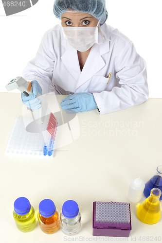 Image of Scientific research lab work