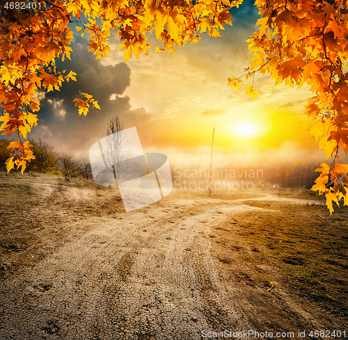 Image of Road and autumn field