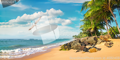 Image of Beach in Sri Lanka