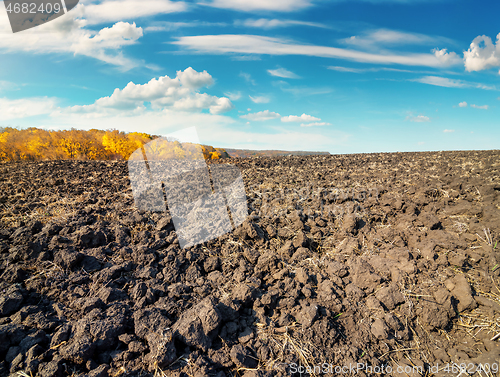 Image of Cultivated field by day