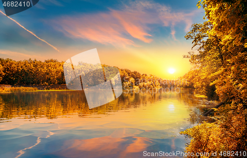 Image of Forest and river