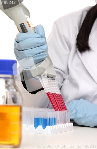 Image of Scientist dispensing liquid from pipette