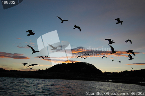 Image of Sunrise in Norway