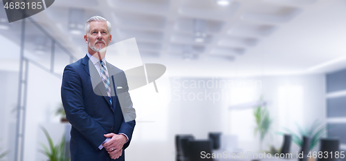 Image of Senior businessman in his office