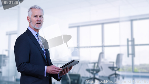 Image of Senior businessman in his office