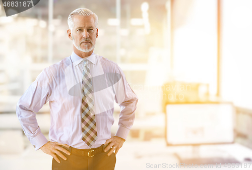 Image of Senior businessman in his office