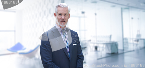 Image of Senior businessman in his office