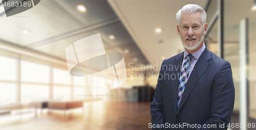 Image of Senior businessman in his office