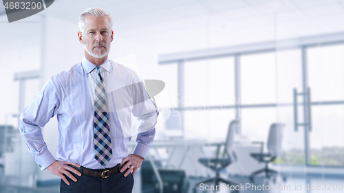 Image of Senior businessman in his office