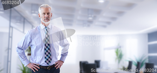 Image of Senior businessman in his office