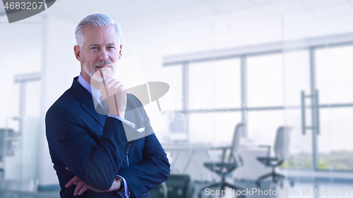 Image of Senior businessman in his office