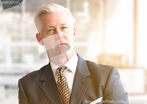 Image of Senior businessman in his office