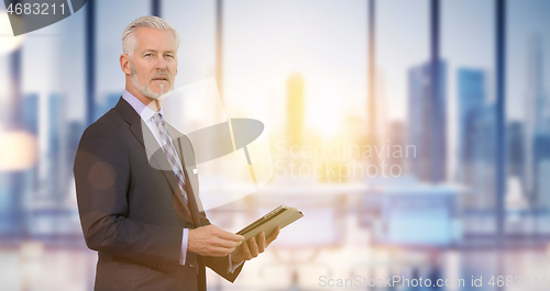 Image of Senior businessman in his office