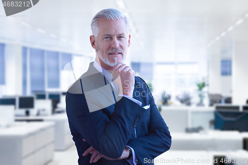 Image of Senior businessman in his office