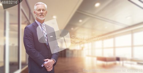 Image of Senior businessman in his office