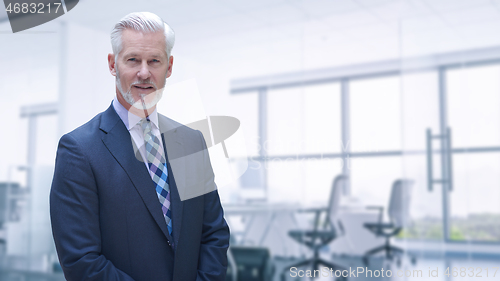 Image of Senior businessman in his office