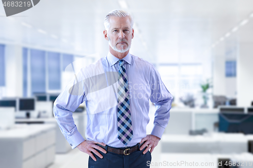 Image of Senior businessman in his office