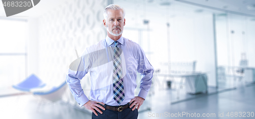 Image of Senior businessman in his office