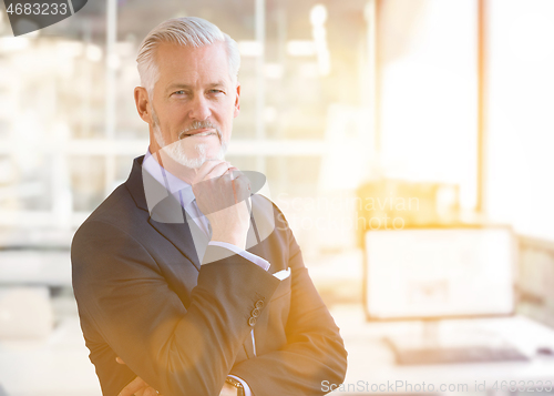 Image of Senior businessman in his office