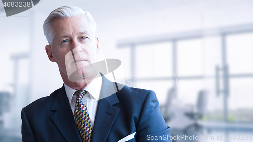 Image of Senior businessman in his office