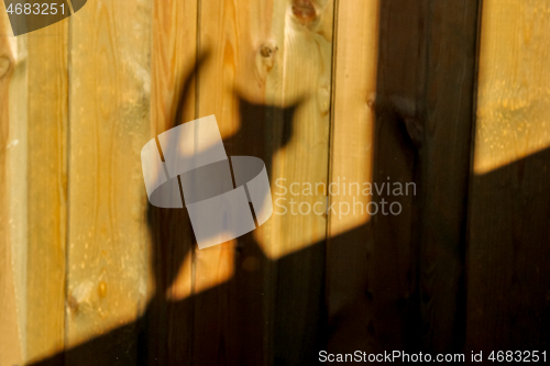 Image of Shadow of cat on wooden wall. 