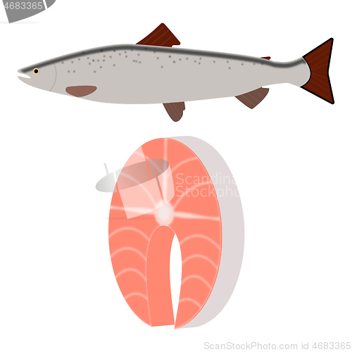 Image of salmon fish