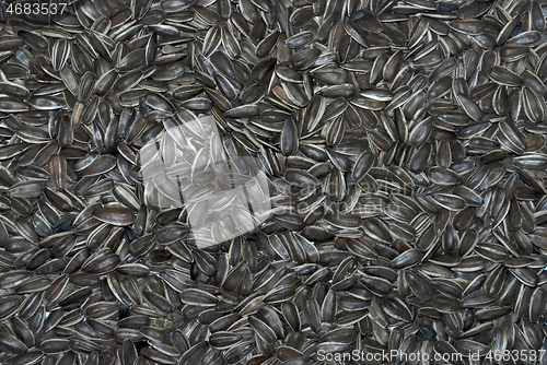 Image of sunflower seeds