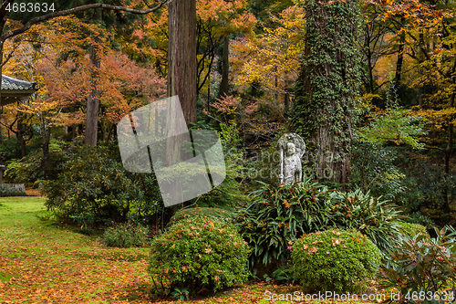 Image of Autumn Japanese temple