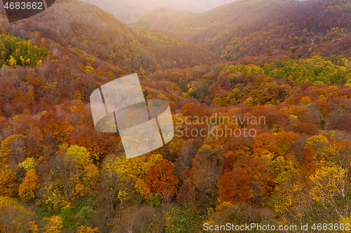 Image of Hakkodasan in autumn season