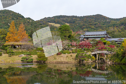 Image of Autumn Japanese beautiful garden