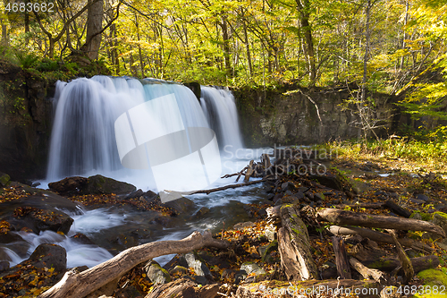 Image of Choshi Ootaki waterfall in the Oirase stream