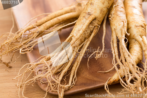 Image of Korean ginseng root