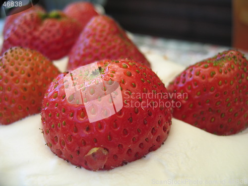 Image of Strawberries