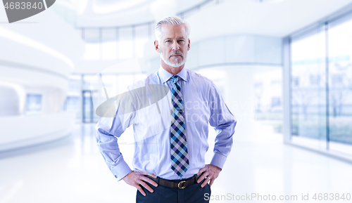 Image of Senior businessman in his office