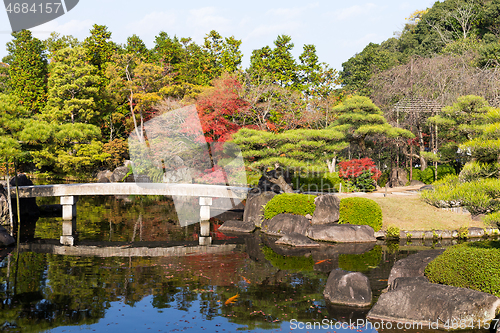 Image of Japanese garden with red foliage