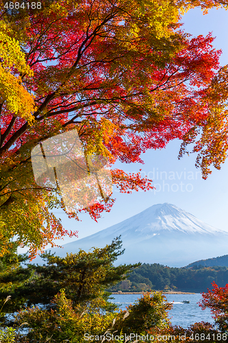 Image of Mountain Fujisan in autumn