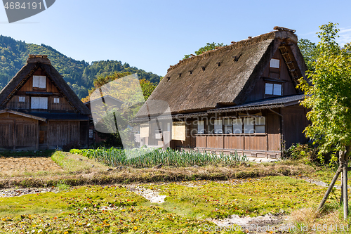 Image of World Heritage Shirakawago 