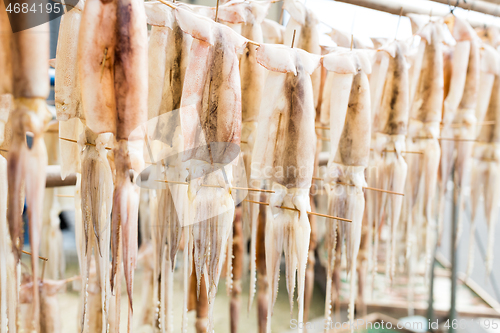 Image of Squid hang on the line