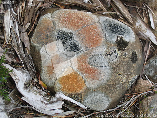 Image of Mosaik on stone