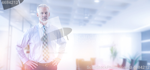 Image of Senior businessman in his office