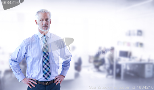 Image of Senior businessman in his office