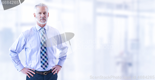 Image of Senior businessman in his office